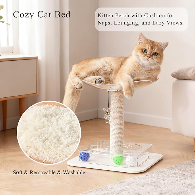 Modern 3-in-1 Interactive Cat Toy with Puzzle Box, Cat Bed/Perch & Scratching Posts, Colorful Jingle Balls, Dangling Accent, Puzzle Toys for Indoor Cats, Acrylic, White
