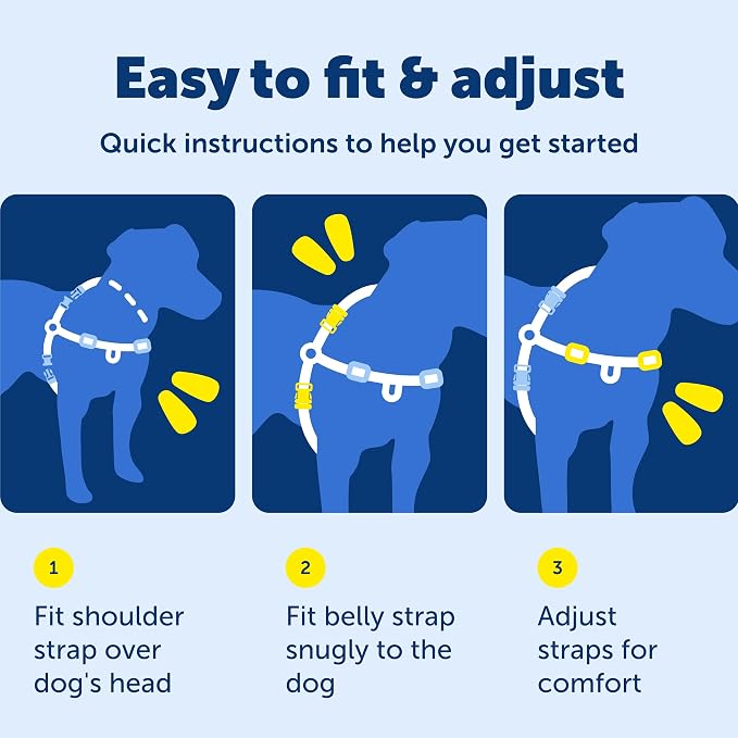 PetSafe Easy Walk Harness, No Pull Dog Harness, Red, Small/Medium | Patented Martingale Loop Gives Gradual Shoulder Pressure to Stop Pulling, Front-Chest Leash Clip Prevents Gagging