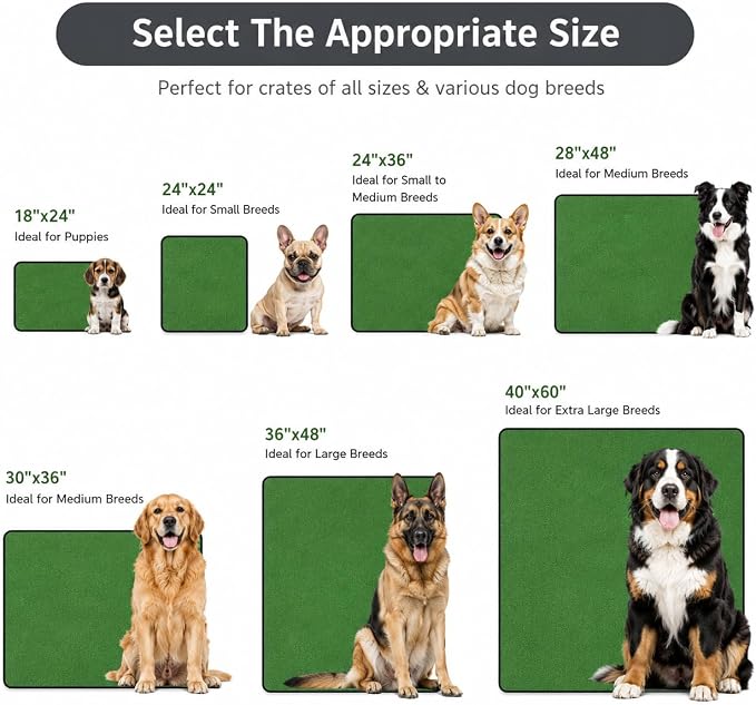 2 Pack Washable Pee Pads for Dogs 36"x51", Reusable Training Puppypads Absorbency Non-Slip & Leak-Proof for Pet Whelping Box Playpen Crate Sofa Bed Floors (Green)