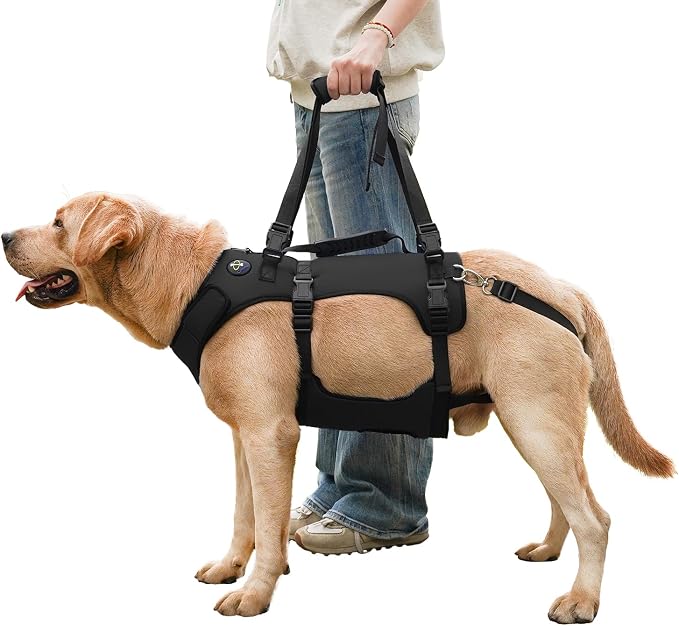 COODEO Dog Lift Harness for Large Dogs, Full Body Support Mobility Aid for Senior Dogs, Adjustable Help for Weak Hind Legs, Arthritis, Stairs & Cars(Black,S)