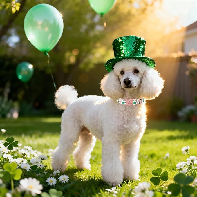 St. Patrick's Day Dog Collar for Large Dogs - Lucky Clover Pastel Dog Collars, Irish Spring Shamrock Pet Collars, Adjustable Heavy Duty Dogs Collar with Metal Buckle L