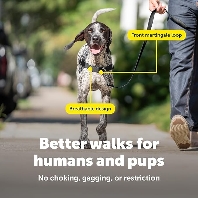 PetSafe Easy Walk Harness, No Pull Dog Harness, Black, Medium/Large | Patented Martingale Loop Gives Gradual Shoulder Pressure to Stop Pulling, Front-Chest Leash Clip Prevents Gagging