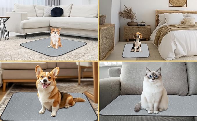 DAHAPYBOO Extra Large Washable Pee Pads for Dogs 65x48,4 Pack | Reusable Puppy Pads for Dogs Non-Slip Waterproof Pet Training Pads for Crate, Playpen, Bed, Sofa,Whelping Box, Potty Training