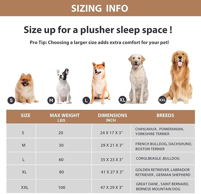 Dog Bed for Medium Dog - Orthopedic Pet Beds with Memory Foam, Waterproof Removable Washable Cover with Non-Slip Bottom, Khaki, 30" L x 20" W x 3" H