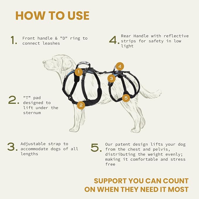 Help 'Em Up® - Dog Lift Harness│ Adjustable Lifting Harness for Dogs │ Full Body Support, Rear Leg Support (Conventional, Small, 25-45 lbs)
