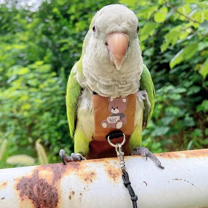 Bird Diaper Harness Flight Suit Clothes, Parrot Flight Suit with Leash for Parrot, Bird Flying Clothes with Rope and Handle for Outdoor Activities Training (Senegal,Without Leash)