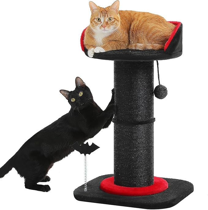 PEQULTI Cat Scratching Post, Gothic Cat Tree, Tall Scratcher for Indoor Cats with Super Thick Scratching Post [Dia=5.5''], Removable Spiderweb Pattern Cat Bed, Scratch Post with Spring Ball, Black