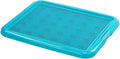 petphabet Training Pad Holder Floor Protection Dog Pad Holder Mesh Training Tray (M-18"x24")…