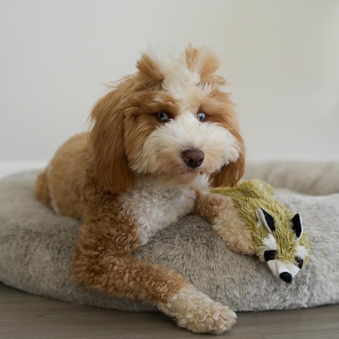 SPOT Skinneeez Raccoon 23 Inch Stuffing-Free Dog Toy – Soft Plush Tug Toy with Two Squeakers for Medium and Large Dogs – Mess-Free Interactive Chew Toy