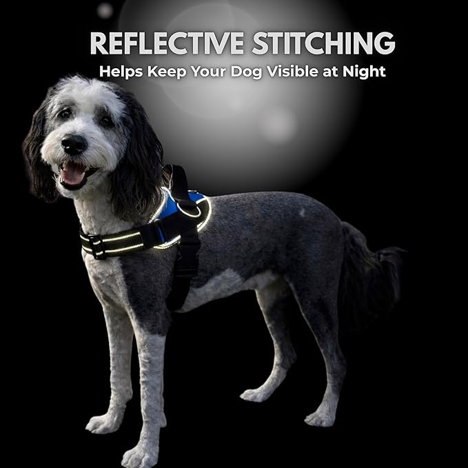ShawnCo Essential Dog Harness, No-Pull Pet Vest (Seafoam,XL) | 3 Leash Clips, Easy On, No-Choke, Reflective, Adjustable Fit, Padded Comfort, Control Handle, For Small, Medium & Large Dogs