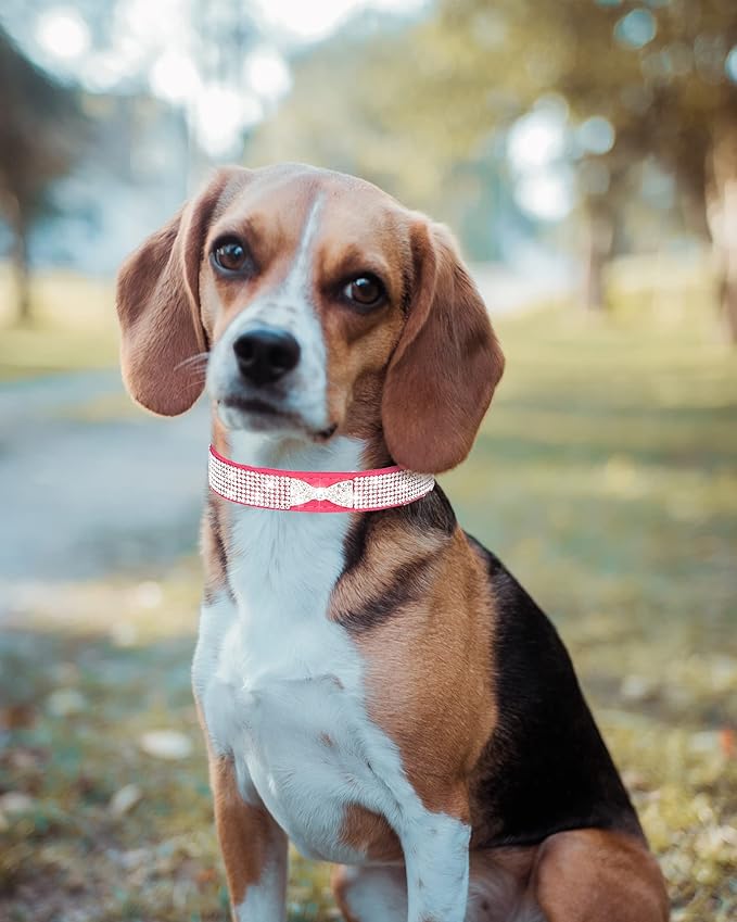Bling Dog Collar for Small Medium Large Dogs, Crown Rhinestone Dog Collars for Girl and boy Dog, Diamond Puppy Collars, Adjustable Leather Suede SOFE Cat Collar (XS(8.2"-10.6"/21CM-27CM), Pink2)