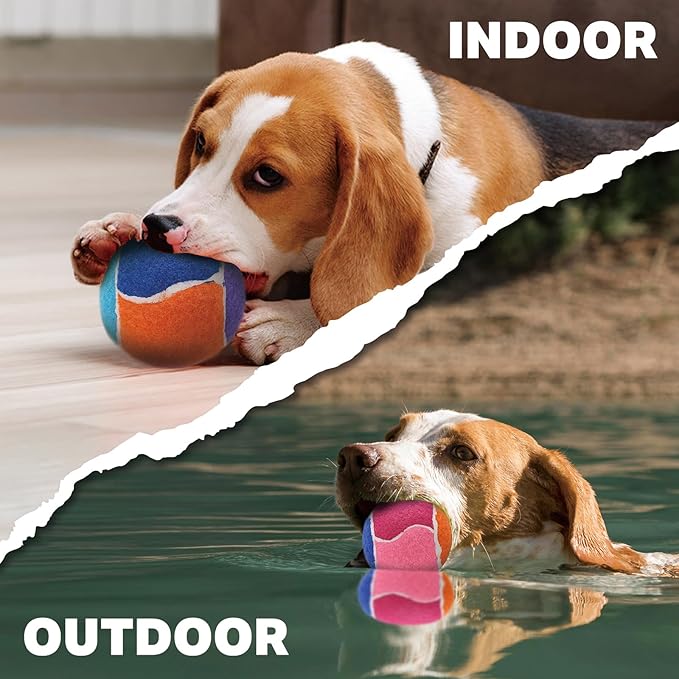 AMA SPORT Squeaky Balls for Dogs 2.5" Small Medium Dog Tennis Balls for Throwing and Fetching Dog Toys for Training, Exercise, High Bouncing 12 Pack Multicolor