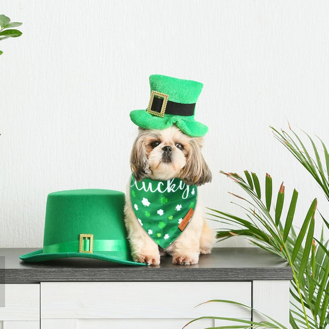 2 Pieces St. Patrick's Day Dog Bandanas, Double-Sided Reversible Triangle Scarf