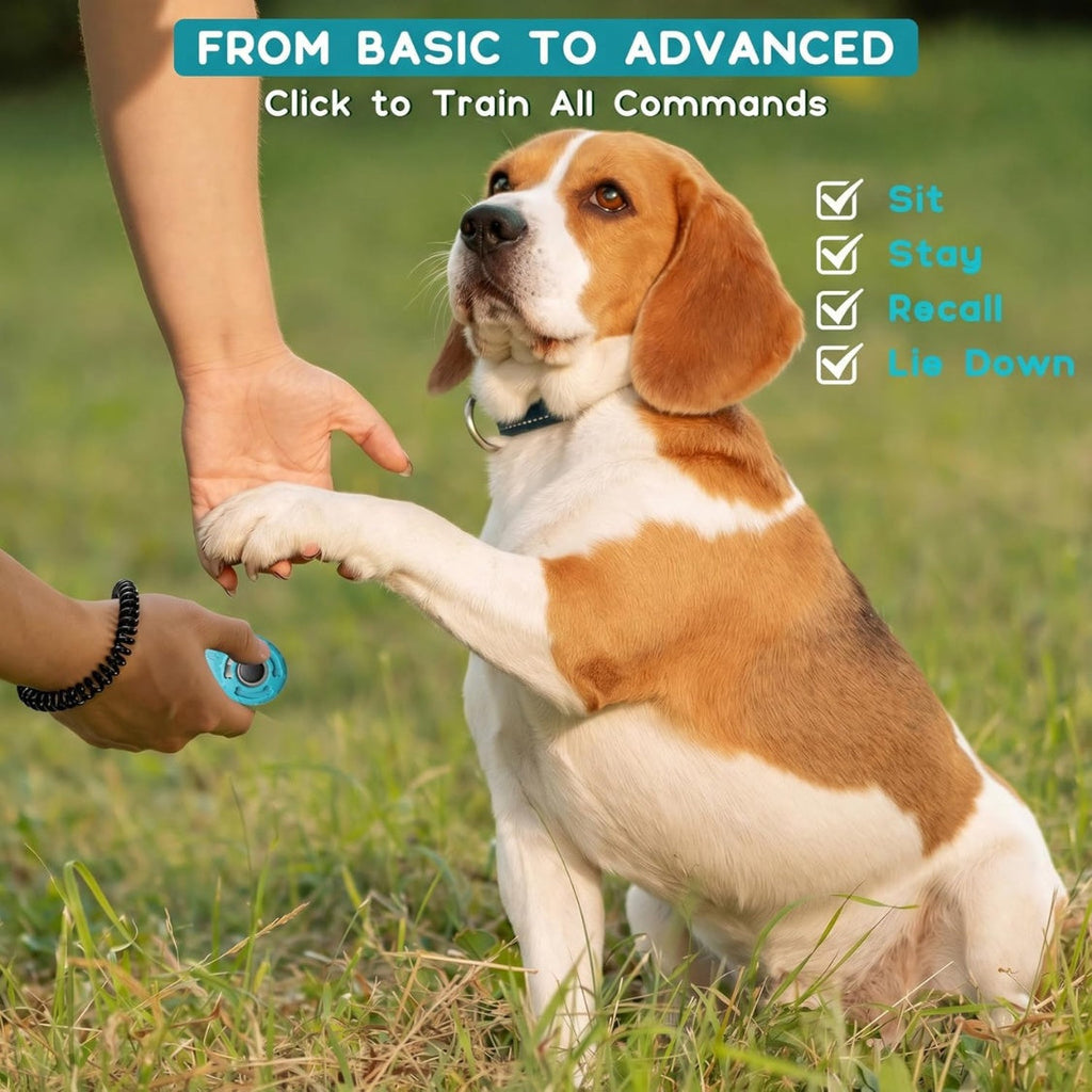 Dog Training Clicker With Sring Wrist And Keyring Pet Dog Training Clickers For Puppy, Cat