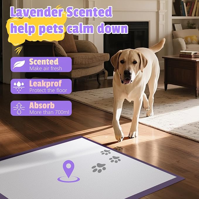 Boscute Lavender Scented Thicken 6 Layers Heavy Absorbent 30"x36" Pet Training Dog Pee Pads, Extra Large Polymer Leak-Proof Quick Dry Puppy Pee Pads, Disposable Pee Pads for Dogs Cats Rabbit 30Counts | Heavy Absorbent up to 7 Cups, Quick Dry, for Dogs ...