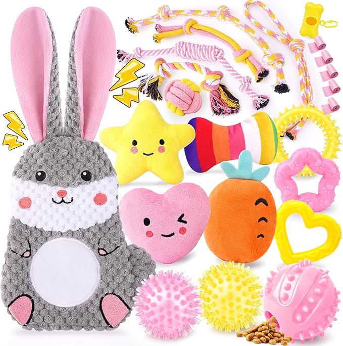 Zeaxuie 23 Pack Pink Puppy Toys for Teething, Small Dog Toys with Cute Puppy Chew Toys, Squeaky Dog Toys, Treat Ball and Interactive Rope Toys