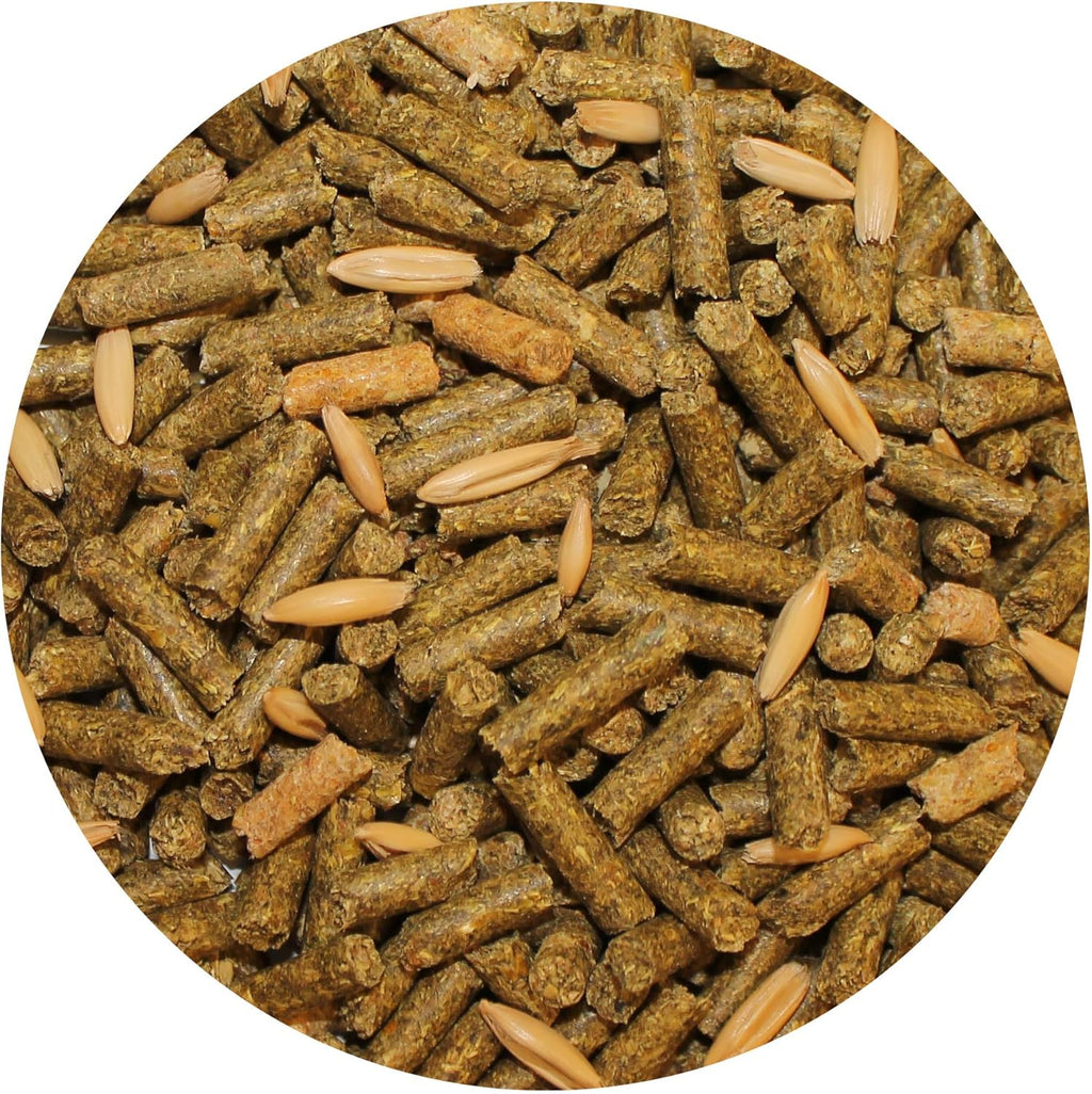 Exotic Nutrition Degu Diet (18lb) - Nutritionally Complete Healthy Pellet Diet with Whole Oats - for Domesticated Pet Degus