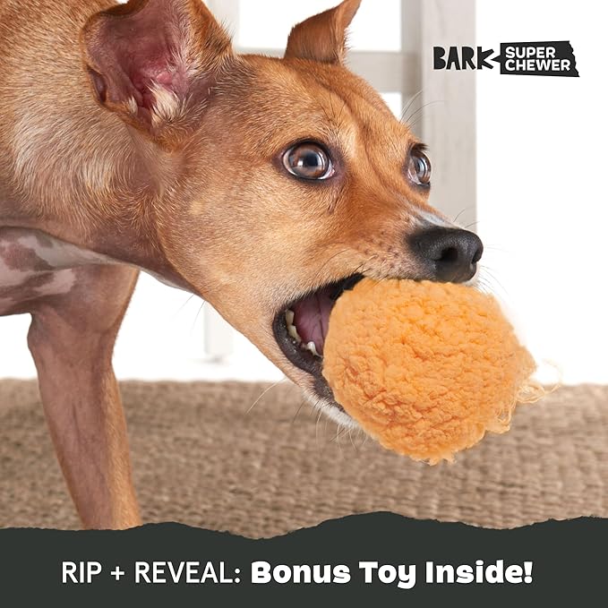 Barkbox Cheeze Brawl Super Chewer Plush Toy with Hard Core Center, Large
