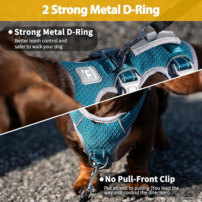 Escape Proof Dog Harness, No Pull Reflective Harness with Lift Handle, Adjustable Pet Vest with Front and Back Leash Clips for Small Medium Large Dogs Walking Hiking Training (Teal,XL)