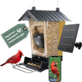 Perky-Pet Solar Powered Smart Bird Feeder with Camera - Squirrel-Resistant, 3.2L Capacity, Motion Activated 1080p HD WiFi Live Stream Camera, SPCAM, SPCAMSLR - Camera Feeder Gift Idea, Yellow