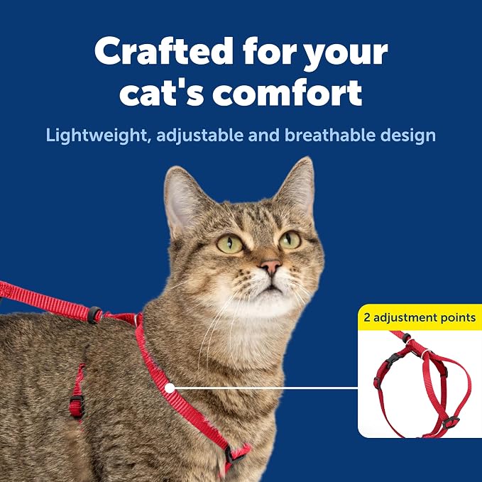PetSafe Come With Me Kitty Harness and Bungee Leash, Harness for Cats, Medium, Red/Cranberry, Model:CWMK-M-RED | Adjustable 2-Point Fit Applies Gentle Pressure to Shoulders, Not Neck, for Small & Average Cats with 10.5 in - 14 in Girth