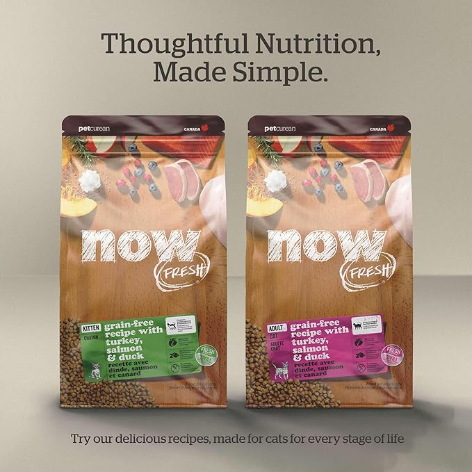 Now Fresh Grain-Free Senior Dry Cat Food with Turkey, Salmon & Duck, Premium Kibble Made with Real Meat & Fish, Chicken-Free Recipe, Supports Healthy Weight Management, 8 lb Bag