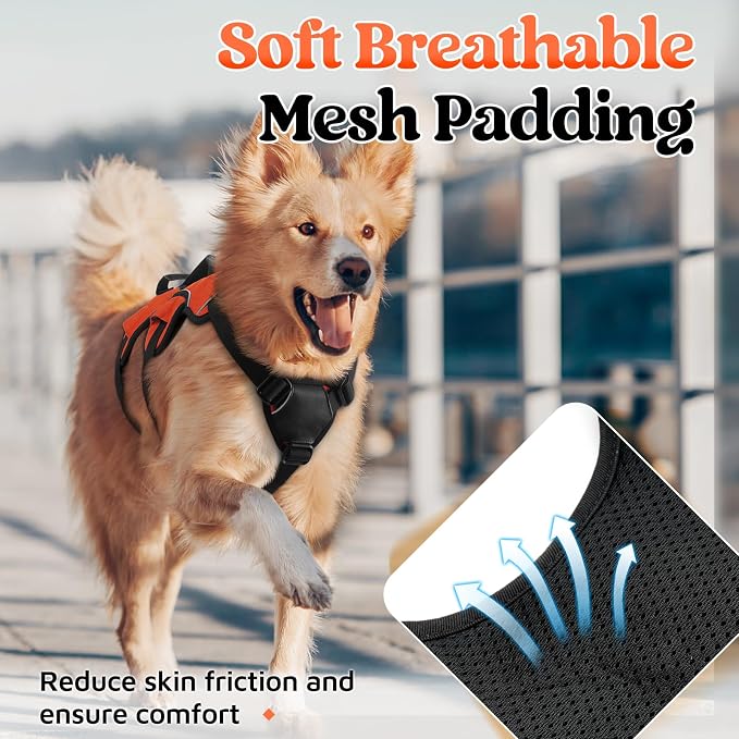 rabbitgoo Escape Proof Dog Harness for Medium, No Pull with Lift Handle | No Escape, Full Soft Padded, Reflective Adjustable Vest, Leash Clip for Walking Hiking Training, Orange, Medium