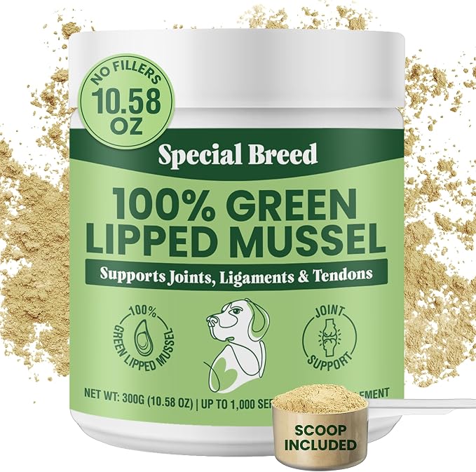 Green Lipped Mussel Powder for Dogs & Cats - 100% New Zealand Green Lipped Mussels - Natural Hip & Joint Supplement for Joints, Tendons, Ligaments, Muscles - 300 Grams - Up to 1,000 Servings