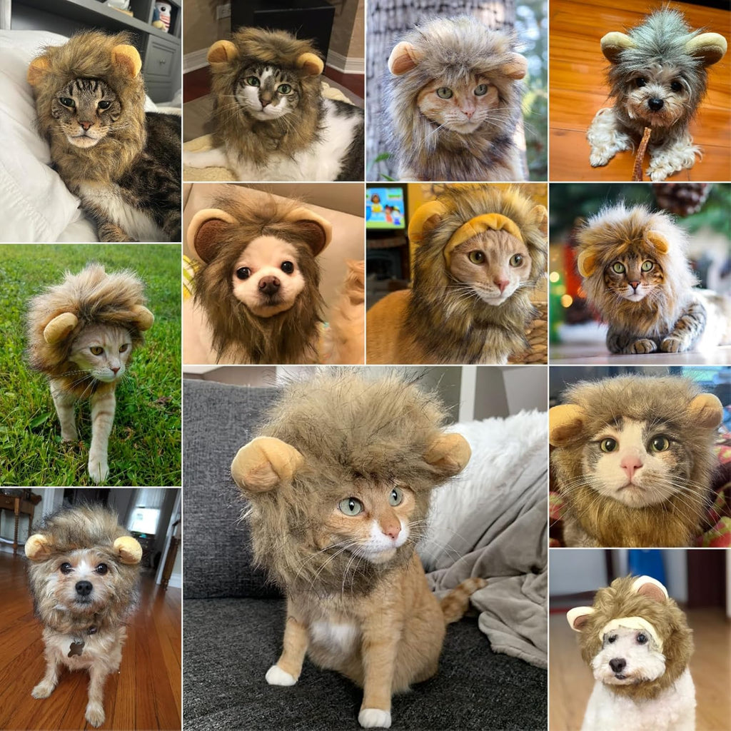 Enjoying Cat Lion Mane Costume, Small Dogs Halloween Outfit, Lion Mane Wig for Cat Cosplay, Kitten Lion Hat for Halloween Themed Party, Daily Cosplay