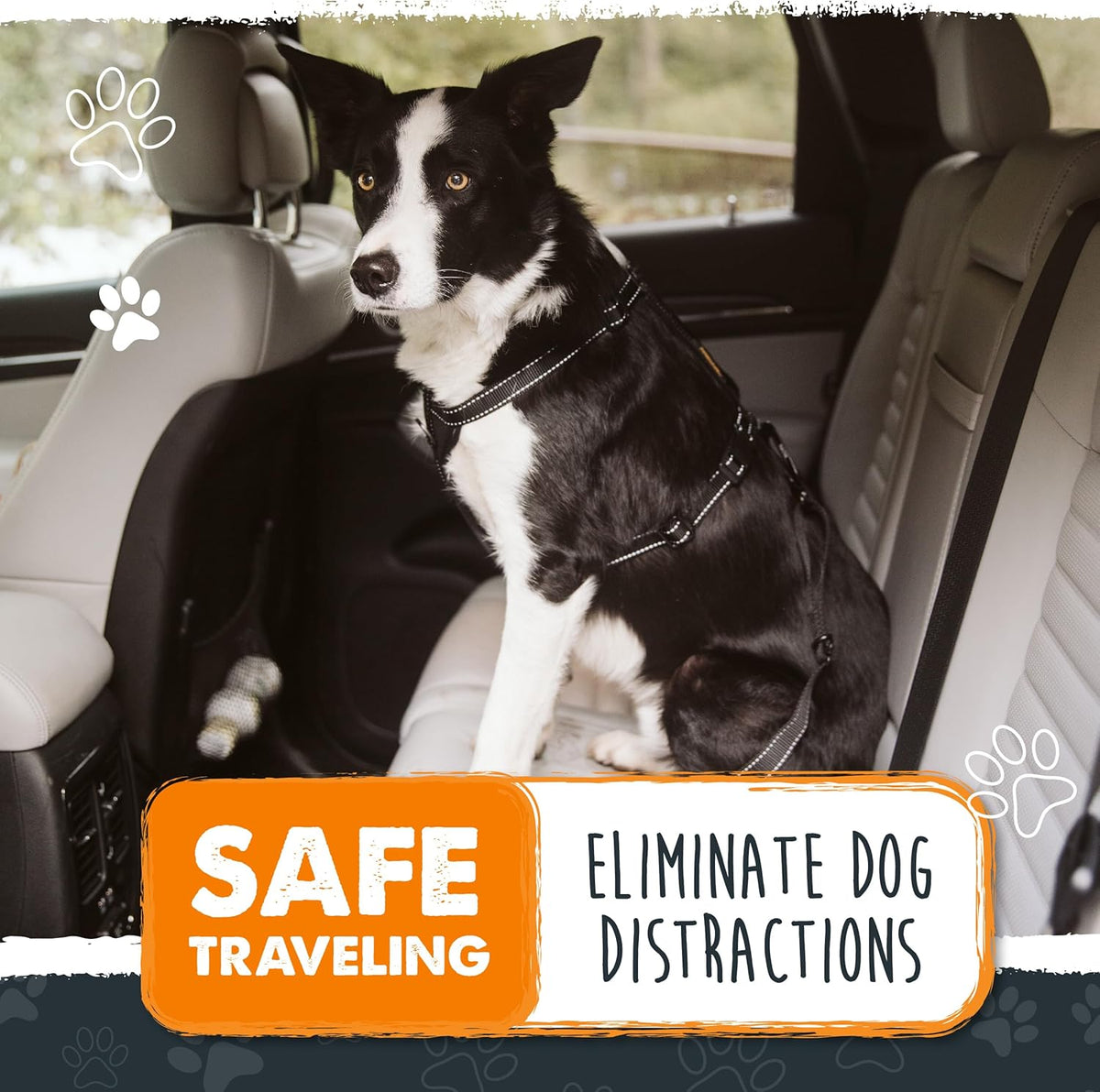 Mighty Paw Dog Seat Belt for Car - Safe Distraction Free Driving, Heavy-Duty Design with Aviation Grade Aluminum Carabiner, Adjustable Dog Seatbelt Harness for Small, Medium and Large Pets