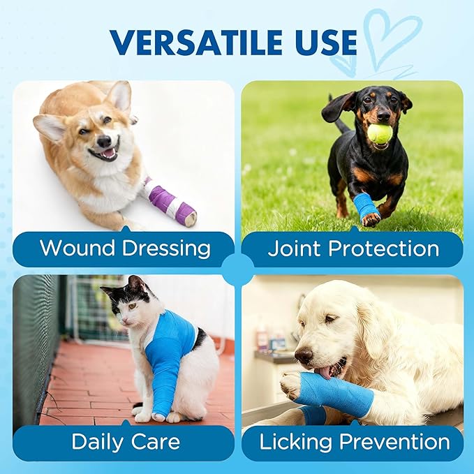 LotFancy Vet Wrap, 4 Inch x 5 Yards, 10 Pack Self Adhesive Bandage Wrap, Non-Woven Cohesive Bandage, First Aid Tape for Horses Dogs Cats Elbow Ankle, Assorted Color