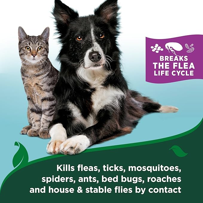 Vet's Best Natural Waterless Flea & Tick Bath for Cats – Natural No-Rinse Dry Shampoo with Plant-Based Ingredients – Flea and Tick Prevention and Control with Certified Essential Oils – 5 oz Bottle