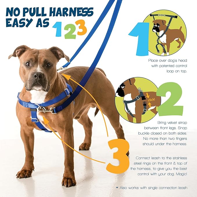 2 Hounds Design Freedom No Pull Dog Harness, 5/8 inch MD, Red | Discourages Pulling, Comfortable Control Adjustable Dog Harness for Medium Sized Dogs, Made in USA (Leash Not Included)