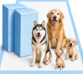 Gimars XXXL 31X47” 40 Count 1200ML Super Absorbent Thicken 6-Layer Ultra Large Dog Pee Pads — Leak-Proof Odor-Control Quick-Dry Training Pads for Large Senior Dogs, Puppies, Cats & Pets