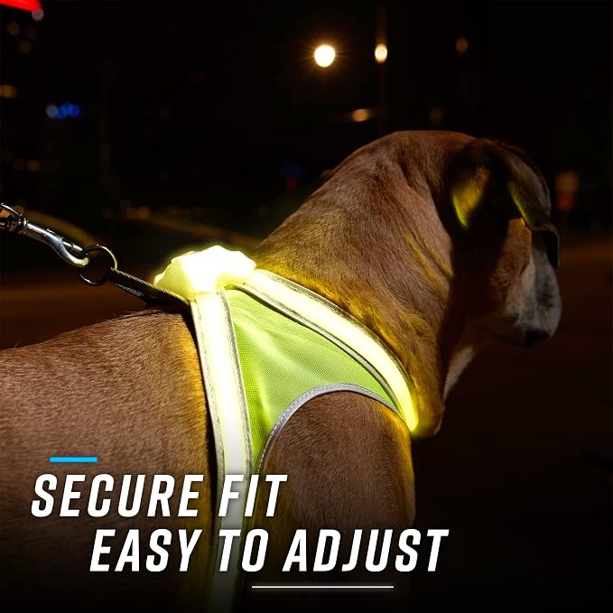 noxgear LightHound Light Up Reflective Dog Harness, Large | 360° Light Up Reflective Dog Harness, 8 Colors & 6 Modes, USB Rechargeable, Adjustable, Rainproof, LED Fiber Optic