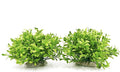 Aquarium Decorations Fish Tank Artificial Green Water Plants Made of Soft Plastic, Safe for All Fish & Pets (Style-3)