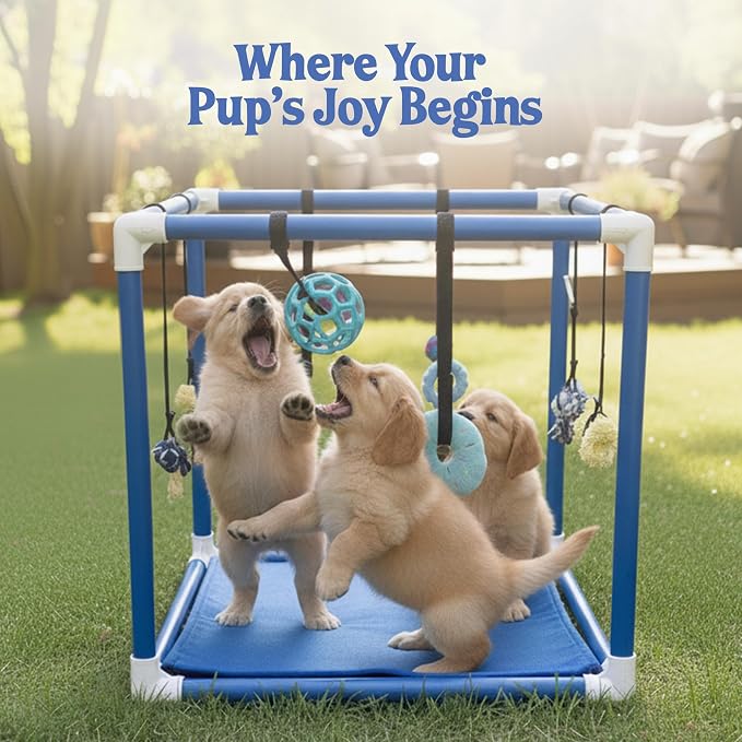 Race&Herd 19.5" Puppy Play Gym — Small Dog Jungle Activity Mat (Cherry) | Dog Play Mat with 8 Bungee Straps, Interactive Puppy Active Toys — Indoor Enrichment Playground Set