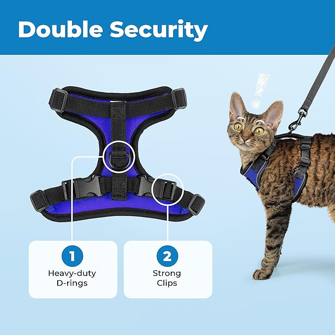 Voyager Escape Proof Cat Harness and Leash Set with Reflective Stitching, Neoprene Handle 5ft - Supports Small, Medium and Large Cats, Kittens for Walking by Best Pet Supplies - BT-Royal Blue, S