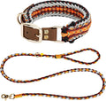 Tirevt Hand-Woven Dog Collar and Leash Set:Color-Block Design, Premium Reinforced Buckle, Adjustable Artisan Paracord for Puppies, Small, Medium & Large Dogs (Orange, L)