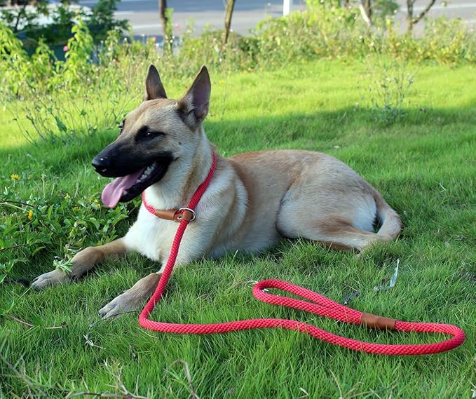 lynxking Dog Leash Slip Lead 5 6 8 FT Dog Training Leash Strong Heavy Duty Braided No Pull Training Lead Leashes for Small Medium Large Dogs