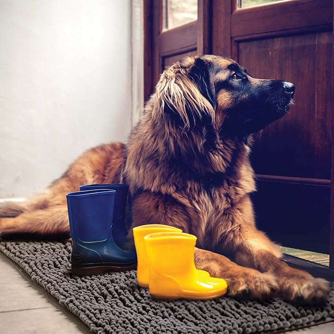 DogBuddy Dog Door Mat for Muddy Paws, Absorbent Microfiber Pet Rug, Waterproof Non-Slip Doormat, Washable Rugs for Dogs, Entryway Indoor Outdoor mat, Dog Supplies (Runner, Shadow/Standard)