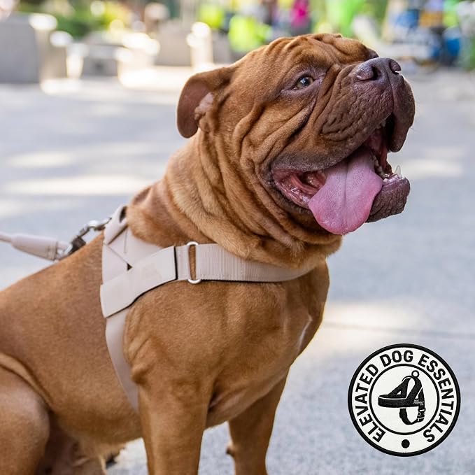 Dog Friendly Co. Dog Harness for Medium Sized Dogs (Brown, Medium) | One Click Buckle, Chafe Resistant Webbing, Adjustable Neck & Chest, and Heavy Duty D-Ring, Sturdy Comfortable and Easy to Use