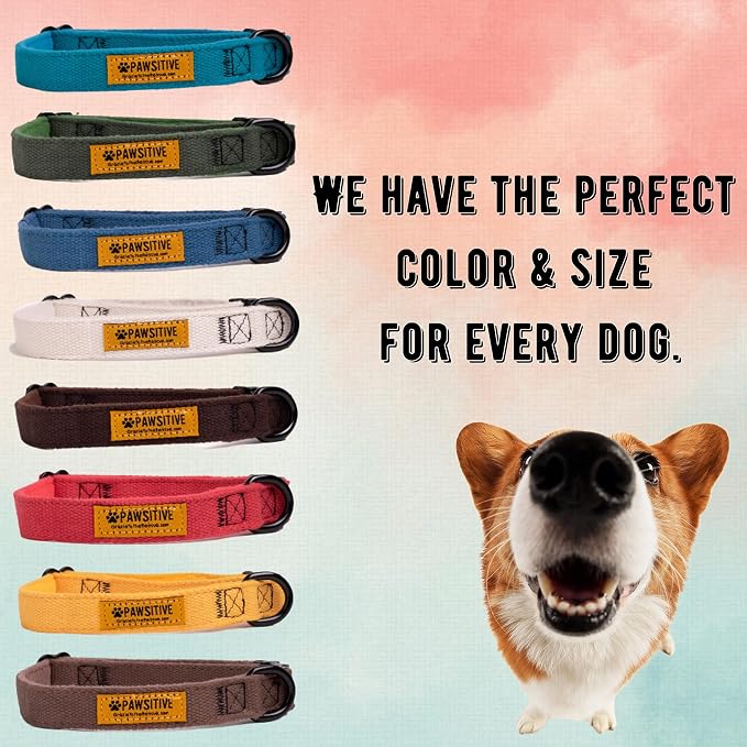 Pawsitive Hemp Dog Collar - Super Soft Hypoallergenic Lining. Great for Small, Medium and Large Dogs; Medium Natural