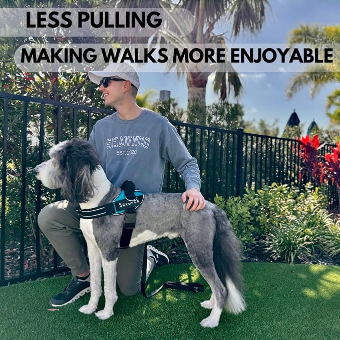 ShawnCo Essential Pro Dog Harness, No-Pull Pet Vest with Removable, Reflective Side Patches, Adjustable and Padded Harness for Small, Medium and Large Dogs (Oceanic Blue, XS)