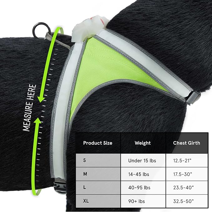 noxgear LightHound Light Up Reflective Dog Harness, Large | 360° Light Up Reflective Dog Harness, 8 Colors & 6 Modes, USB Rechargeable, Adjustable, Rainproof, LED Fiber Optic