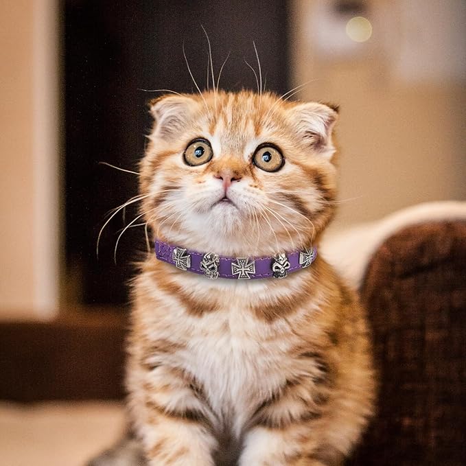 EXPAWLORER Leather Cat Collar for Girl Boy- Adjustable Pet Collar with Safety Elastic Belt,Personalized Punk Accessories Buckle Collars with Bell & Durable D-Ring, Skull(Purple)