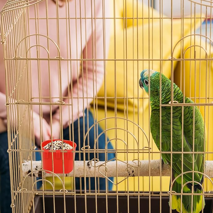 40 Pcs Cage Cups Birds Feeders Bird Water Dispenser Hanging Quail Waterer Plastic Chicken Feeding Watering Dish for Small Coop Parrot Parakeet PET Poultry Pigeon Gamefowl Food Seed Bowl Supplies(Red)