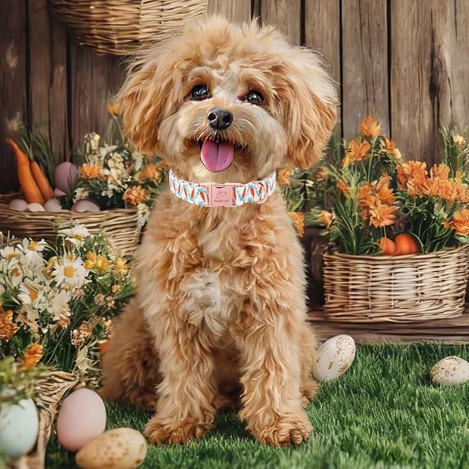Easter Dog Collar, Cute Carrot Easter Collar for Boy Girl Dogs, Adjustable Heavy Duty Spring Holiday Dog Collars for Small Medium Large Dogs with Metal Buckle S