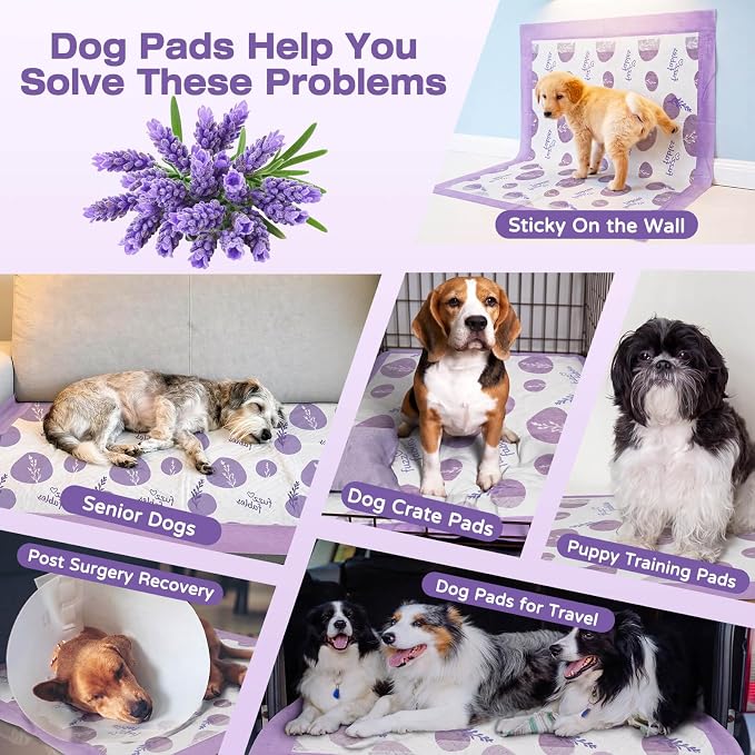 Dog Training Pads for Large Dog-36"x 36",30Cts | Super Absorbent, Lavender Scented, Leak-Proof & Adhesive Tabs, Quick-Dry Surface, Pee Pads for Medium to Large Dogs