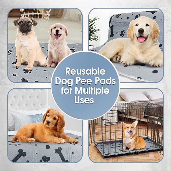 Washable Pee Pads for Dogs 2 Packs 36’’ x 48’’ Reusable Puppy Pads Waterproof Pet Mat Heavy Absorbent Leakproof Dog Playpen Mat for Crate, Whelping and Indoor Potty Training